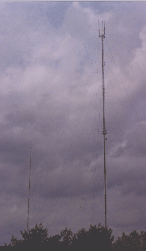 294x505 GIF file